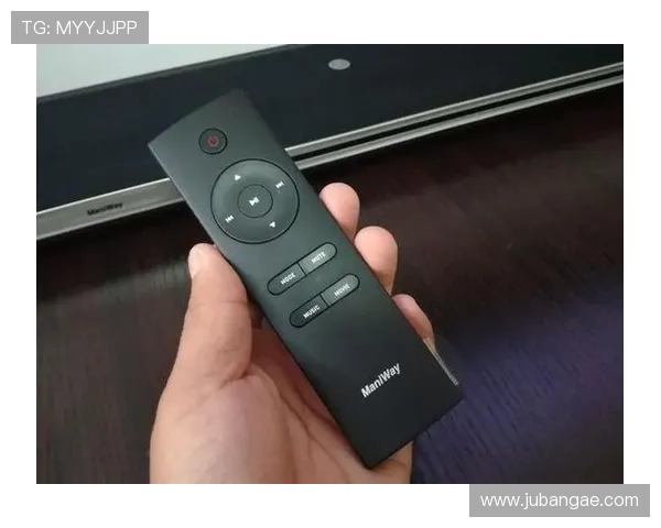 尊龙D88旗舰：打造极致视听体验的高端影音设备