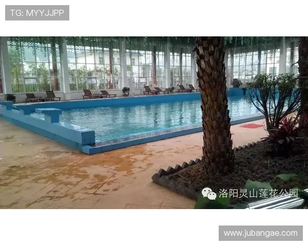 休闲娱乐城:提供舒适环境和优质服务,让每一次休闲都成为难忘的回忆 休闲娱乐城:提供舒适环境和优质服务,让每一次休闲都成为难忘的回忆